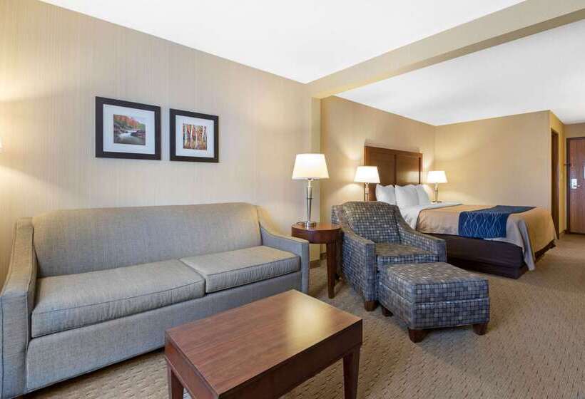 Отель Comfort Inn