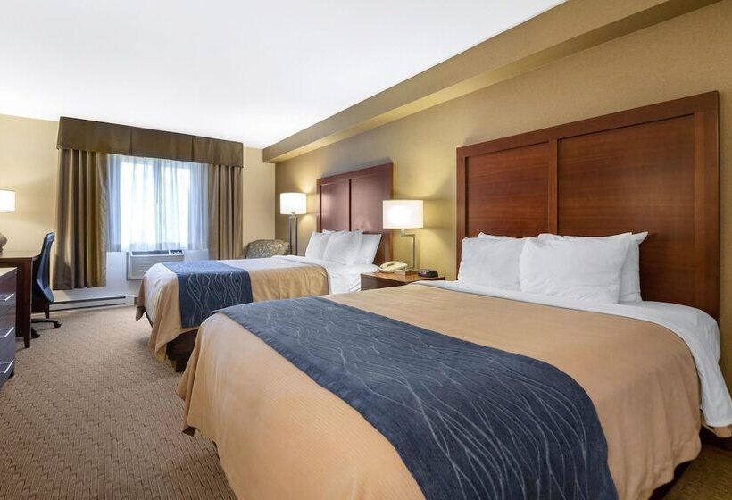 Отель Comfort Inn