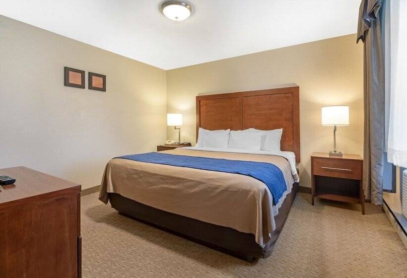 Отель Comfort Inn