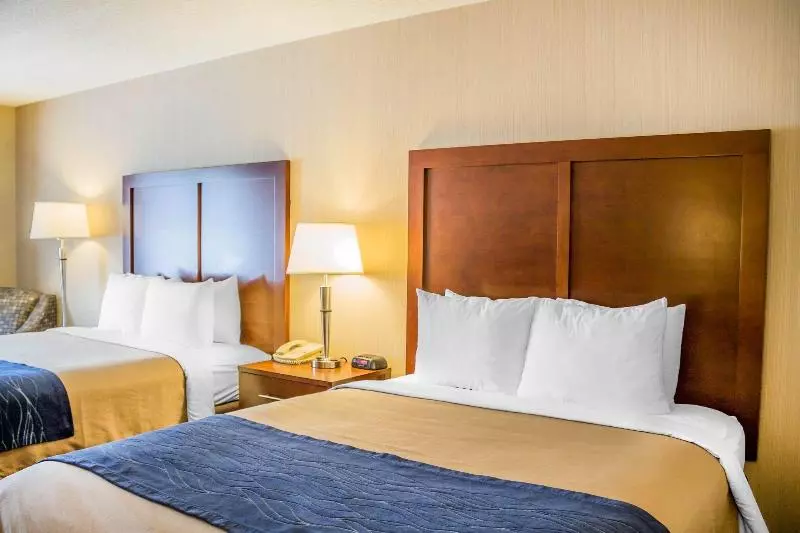 בית מלון כפרי Comfort Inn