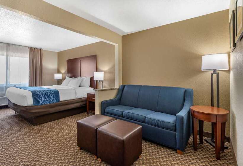 酒店 Comfort Inn Near Kokomo Speedway