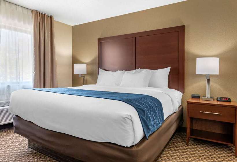 酒店 Comfort Inn Near Kokomo Speedway