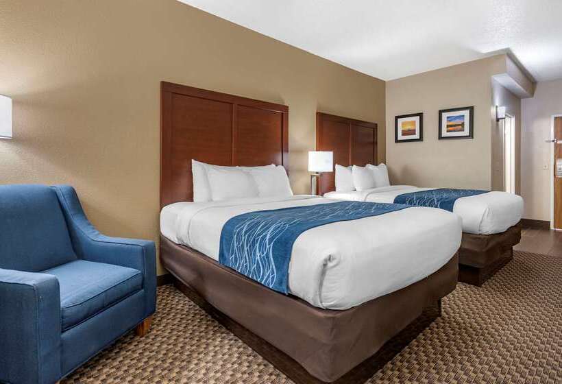 酒店 Comfort Inn Near Kokomo Speedway