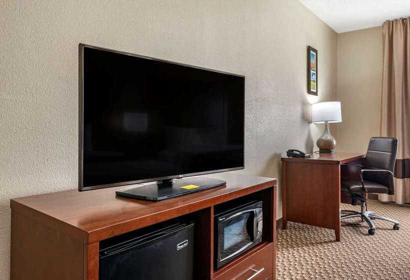 酒店 Comfort Inn Near Kokomo Speedway