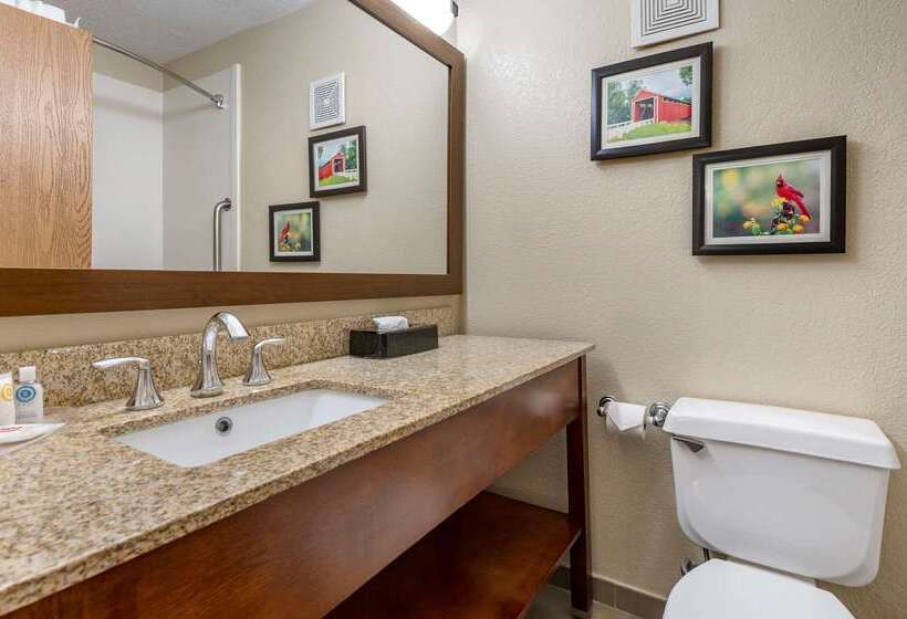 酒店 Comfort Inn Near Kokomo Speedway