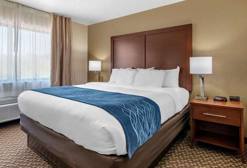 酒店 Comfort Inn Near Kokomo Speedway