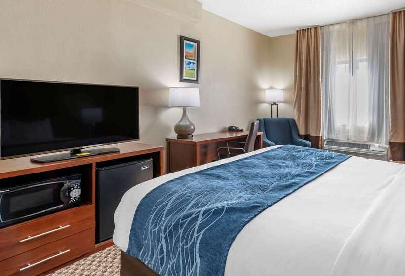 酒店 Comfort Inn Near Kokomo Speedway