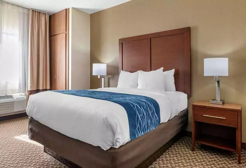 ホテル Comfort Inn Near Kokomo Speedway