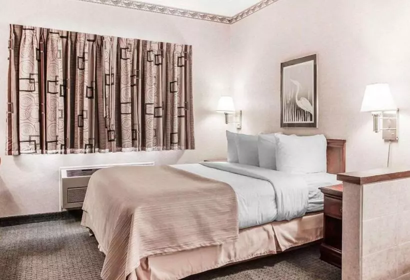 酒店 Quality Inn