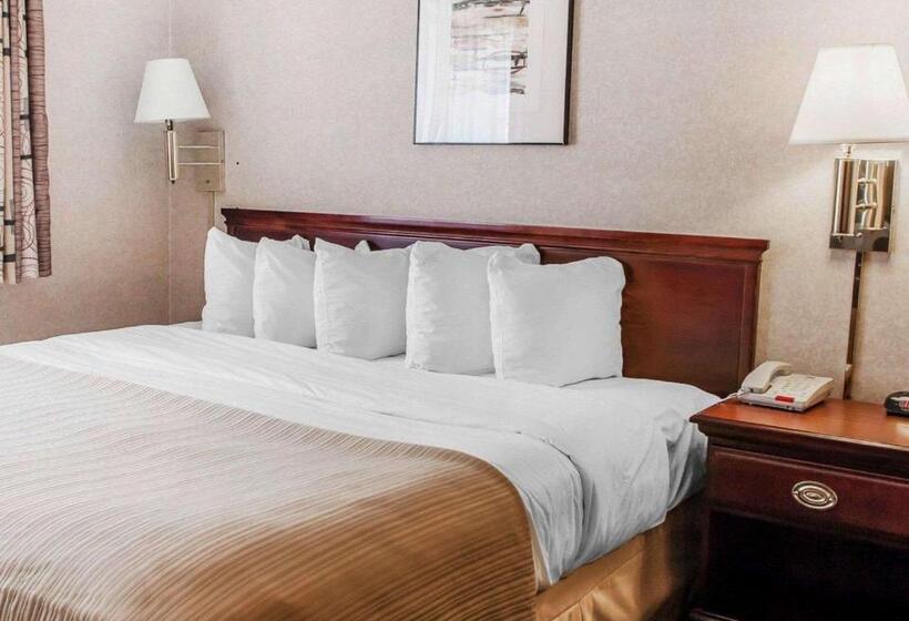فندق Quality Inn