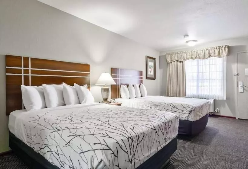 בית מלון כפרי Rancho San Diego Inn & Suites