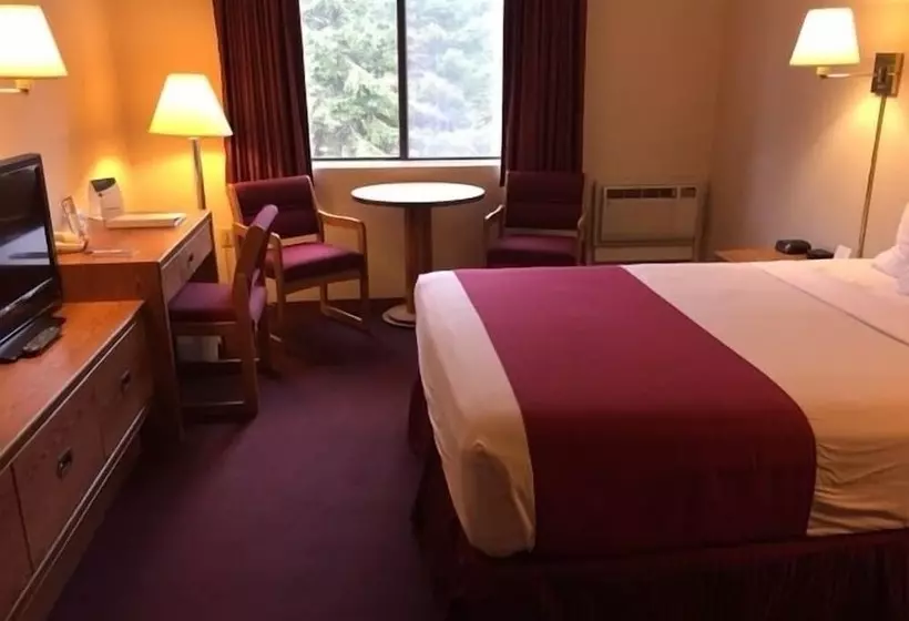 فندق Rodeway Inn