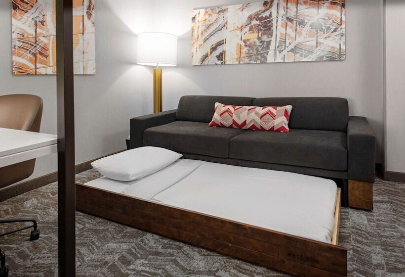 فندق Springhill Suites By Marriott Beaufort