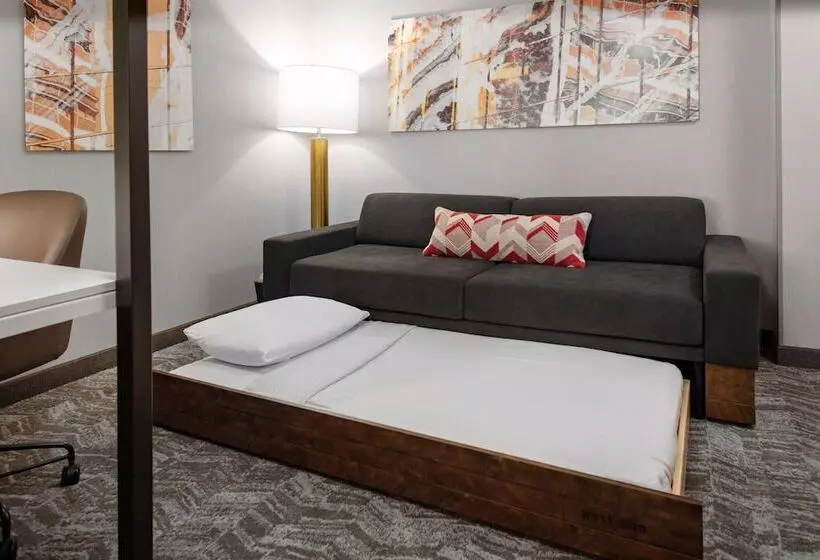 ホテル Springhill Suites By Marriott Beaufort