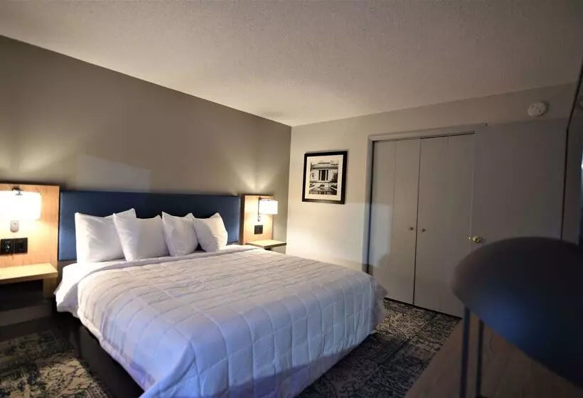 호텔 Baymont By Wyndham Pine Grove I 81