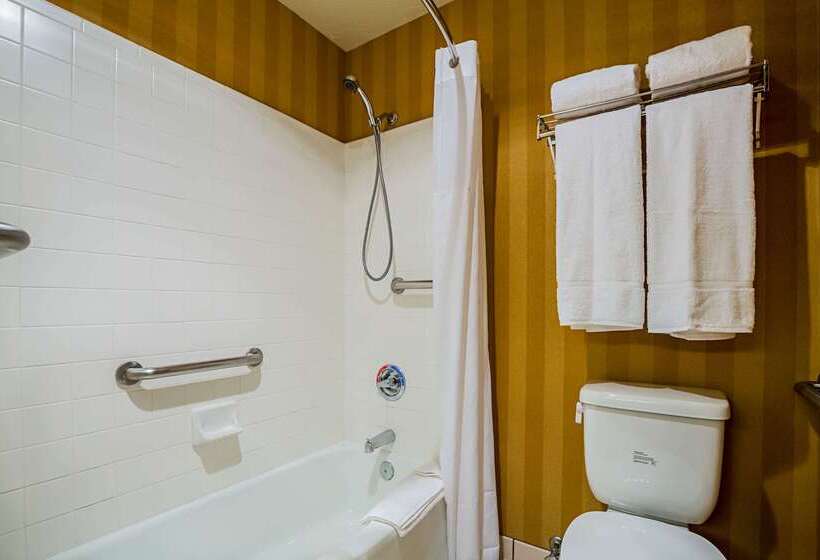 هتل Clarion Suites St George Convention Center Area