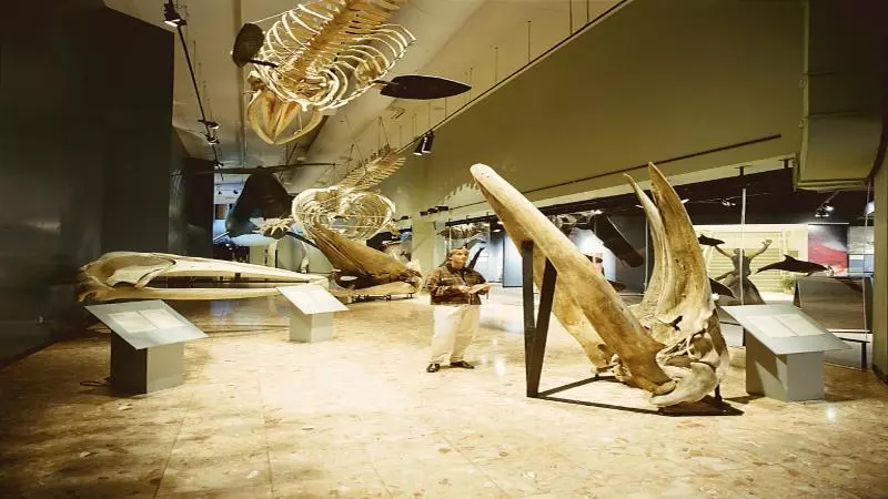 Holiday Inn Express Hotel & Suites Saint John Harbour Side, An Ihg