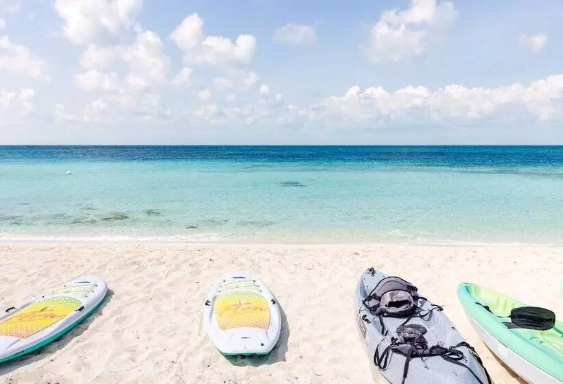 هتل The Cove Eleuthera