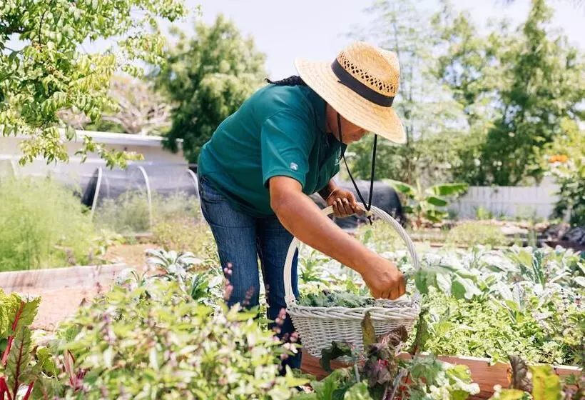هتل The Cove Eleuthera
