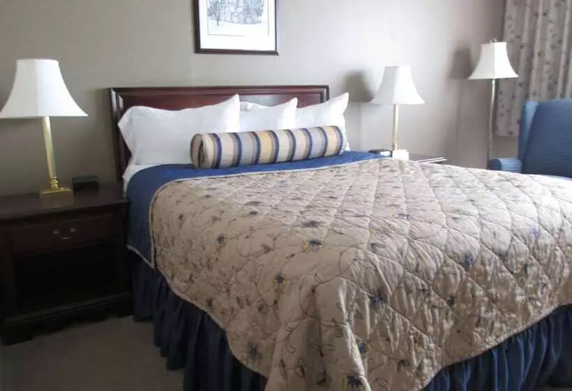 호텔 The Fredericton Inn