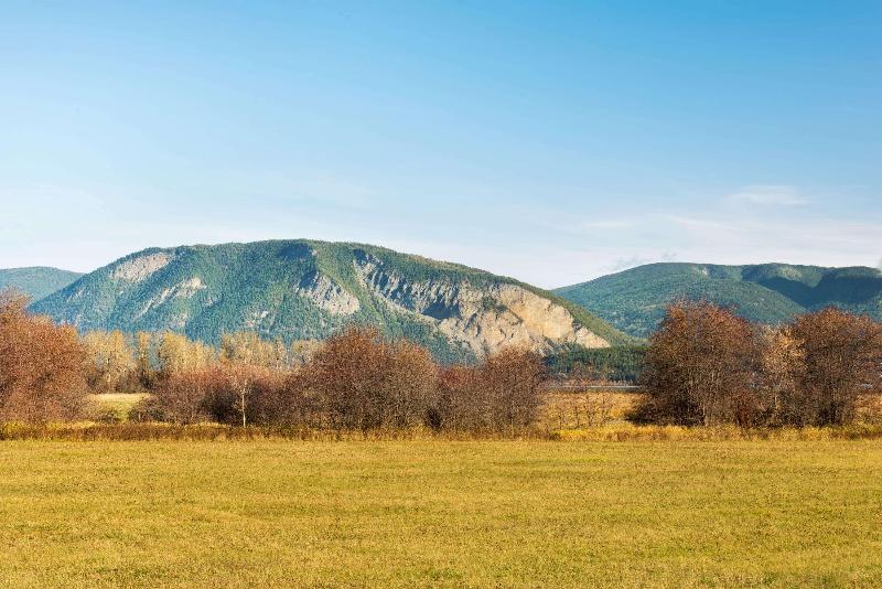 ホテル Travelodge By Wyndham Salmon Arm Bc