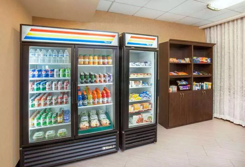 ホテル Wyndham Garden Schaumburg Chicago Northwest