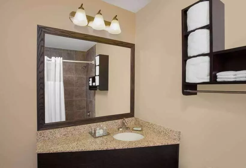 ホテル Wyndham Garden Schaumburg Chicago Northwest