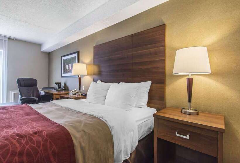 בית מלון כפרי Comfort Inn