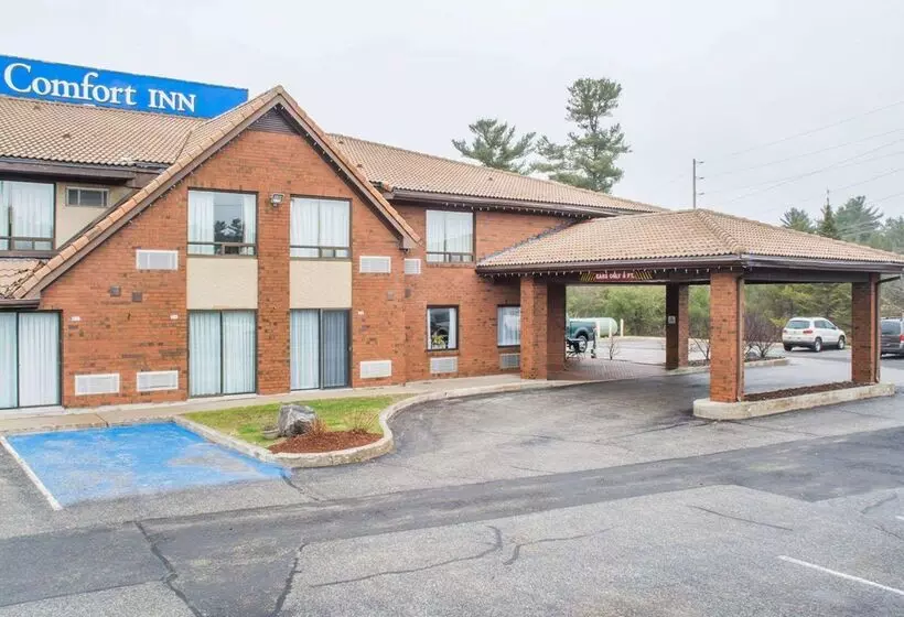 酒店 Comfort Inn