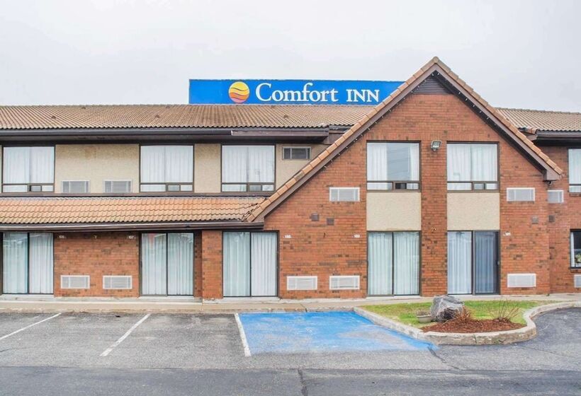 호텔 Comfort Inn