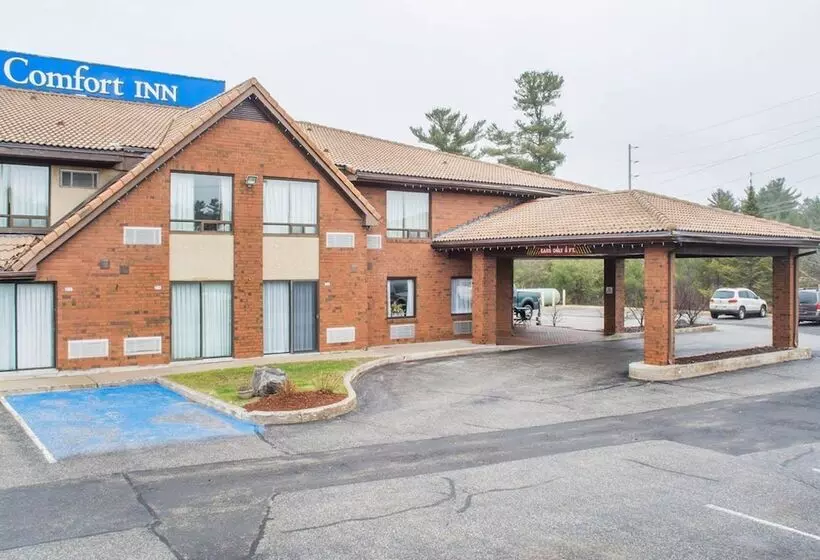 酒店 Comfort Inn
