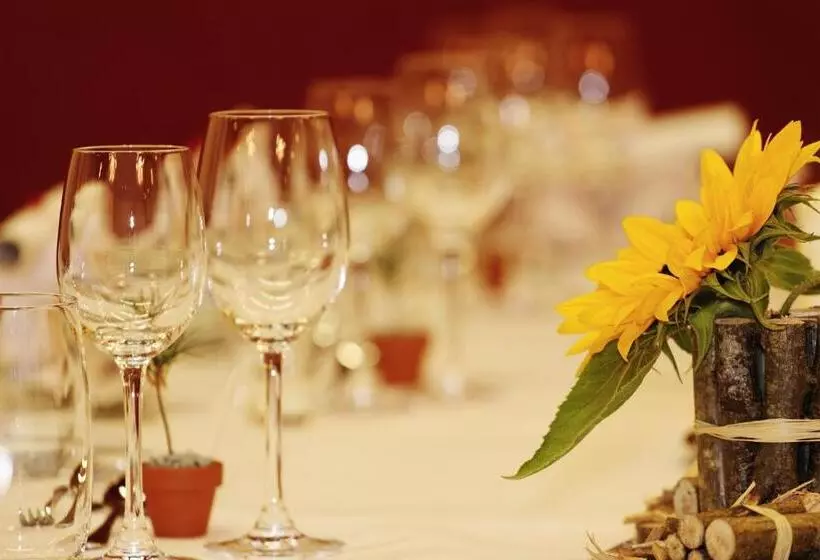 Отель Laaxerhof