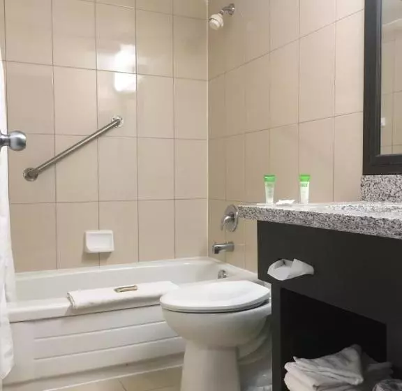 酒店 Mississauga Inn & Suites