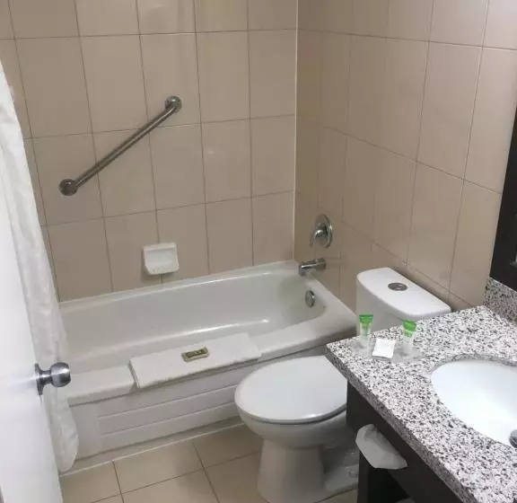 酒店 Mississauga Inn & Suites