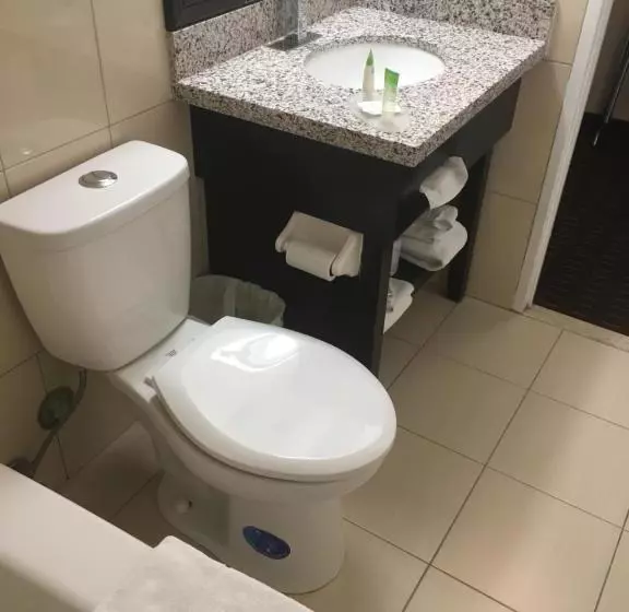 酒店 Mississauga Inn & Suites