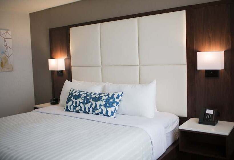 The Park Hotel London