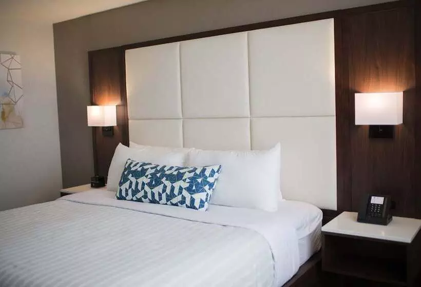 The Park Hotel London