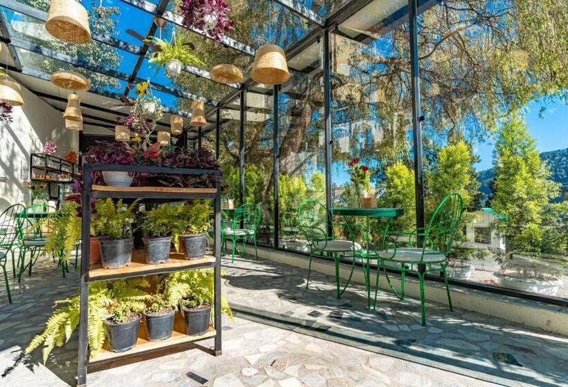 Hotel Shervani Hilltop Resort