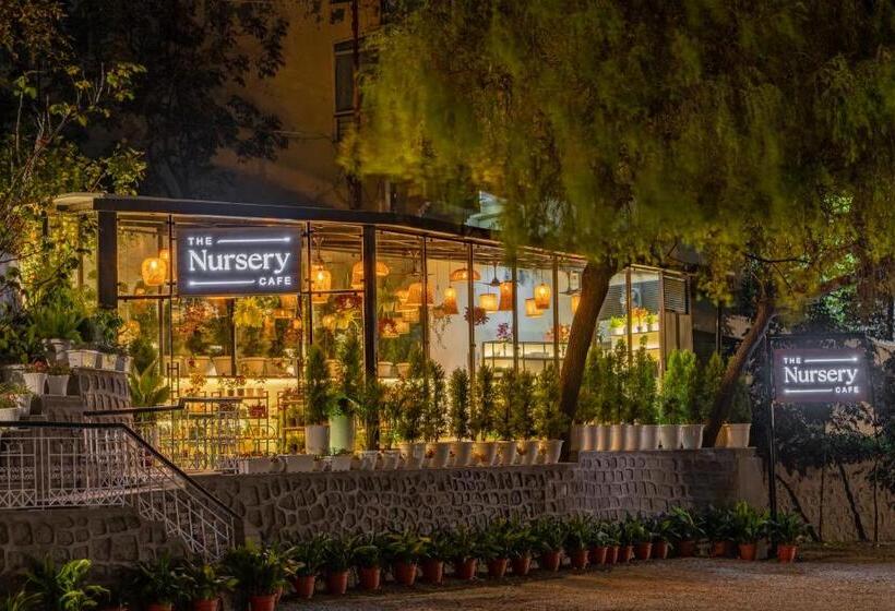 Hotel Shervani Hilltop Resort