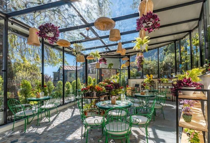 Hotel Shervani Hilltop Resort