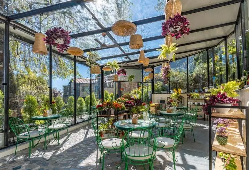 호텔 Shervani Hilltop Resort