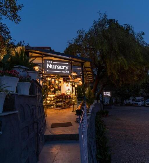 Hotel Shervani Hilltop Resort