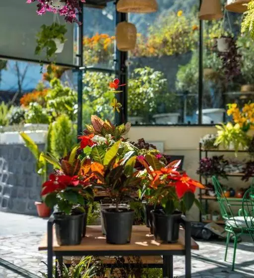 호텔 Shervani Hilltop Resort