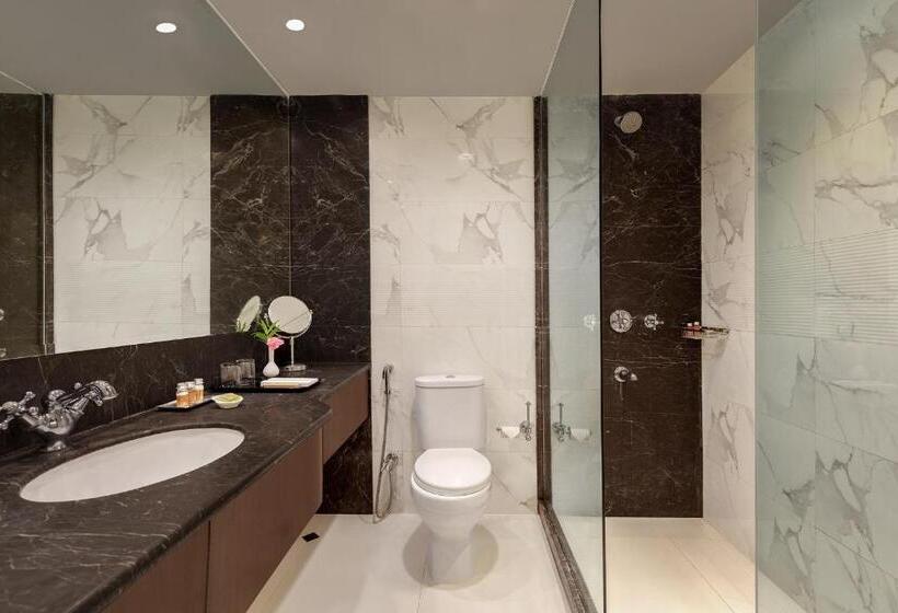 Hotel Shervani Hilltop Resort