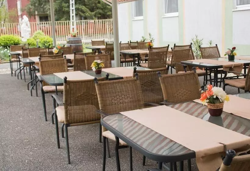 Komfort Hotel Platán