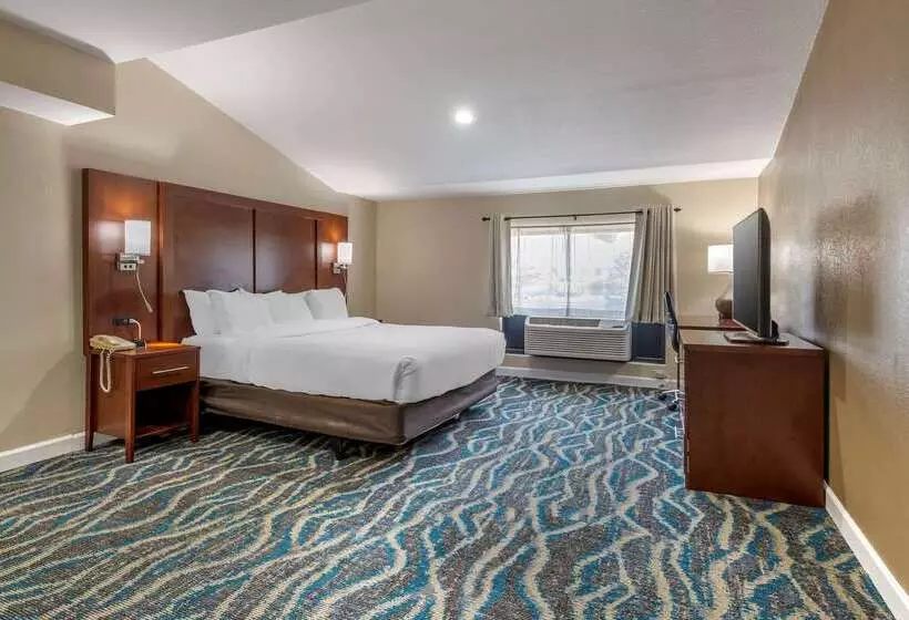 ホテル Comfort Inn Asheville East Blue Ridge Pkwy Access