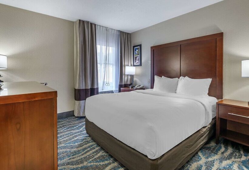 فندق Comfort Inn Asheville East Blue Ridge Pkwy Access