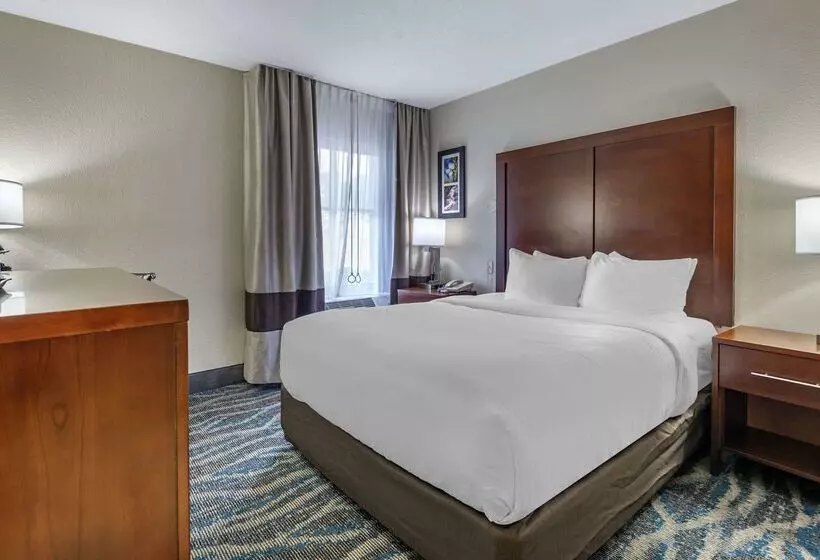 ホテル Comfort Inn Asheville East Blue Ridge Pkwy Access