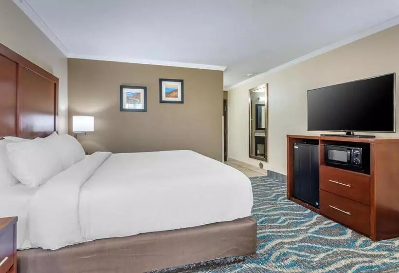 ホテル Comfort Inn Asheville East Blue Ridge Pkwy Access