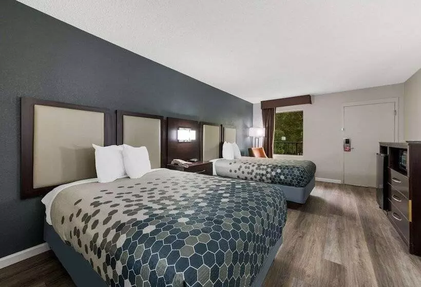 Отель Econo Lodge Cheraw Market Street